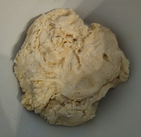 No knead Neapolitan pizza dough just mixed