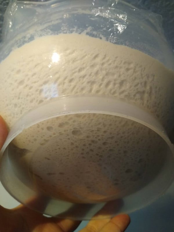 What is a sourdough starter?