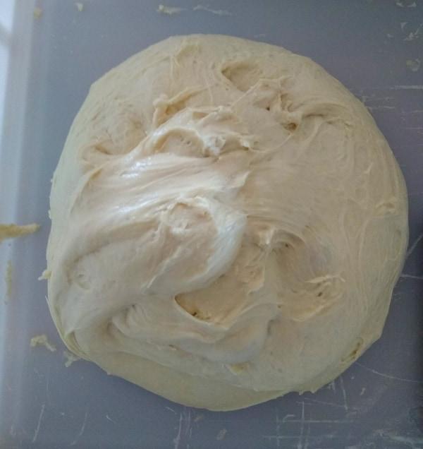 New York pizza dough resting