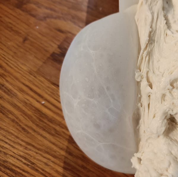 Pizza dough fermentation