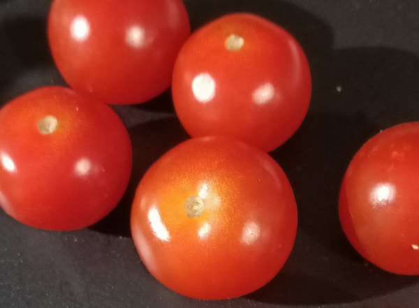 Close up of cherry tomatoes