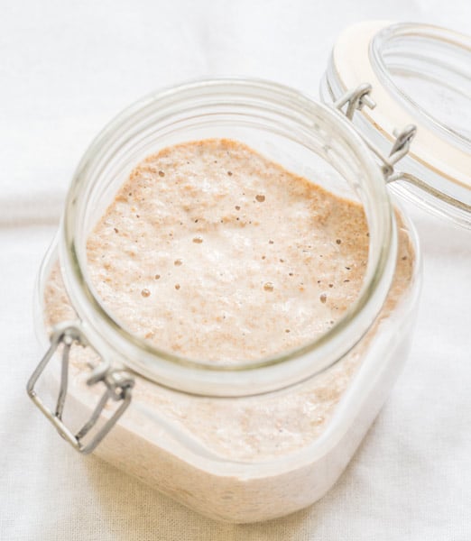 Sourdough Pizza Starter