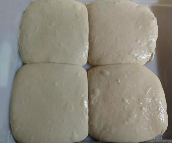 Poolish pizza dough